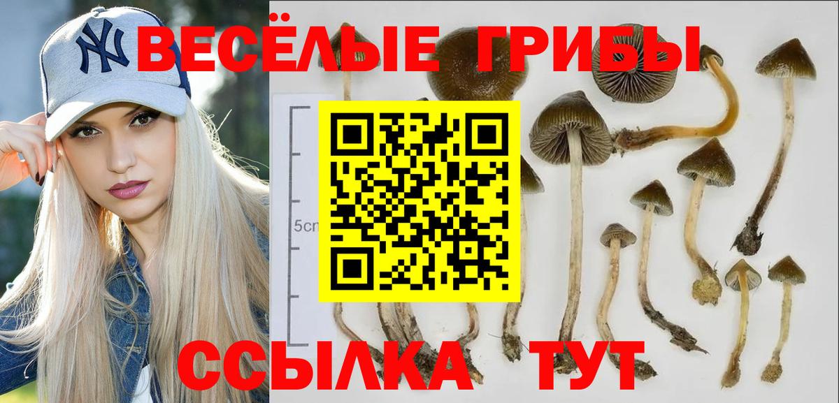 Галлюциногенные грибы Psilocybine cubensis Туймазы