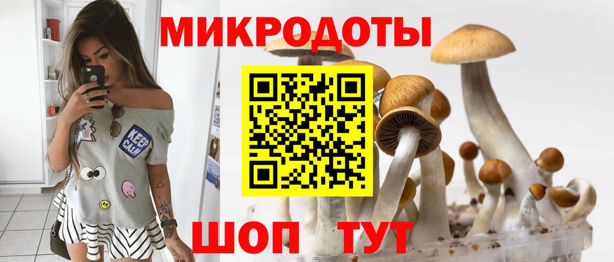 Туймазы  Галлюциногенные грибы Cubensis  Вход с VPN  Псилоцибиновые грибы MAGIC MUSHROOMS 